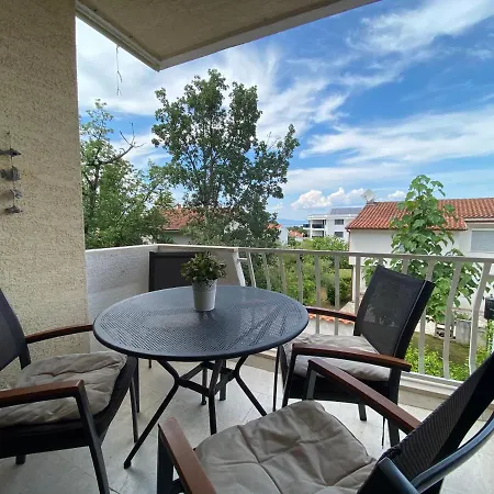 Apartment Jellyfish *